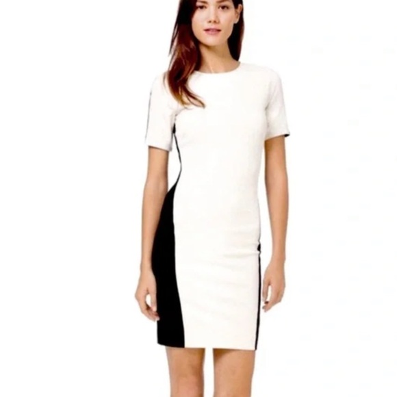 ARITZIA Wilfred mini dress bodycon cream and black Size Small - Picture 8 of 9